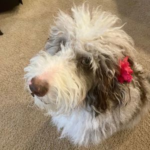 Meet your Posher, June